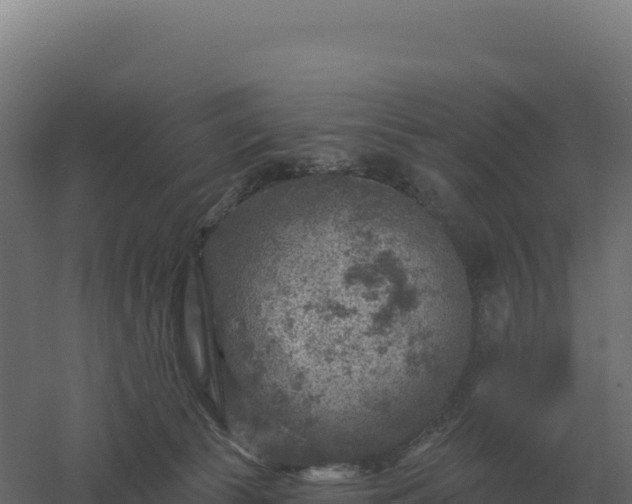 X0000061150177200511241840