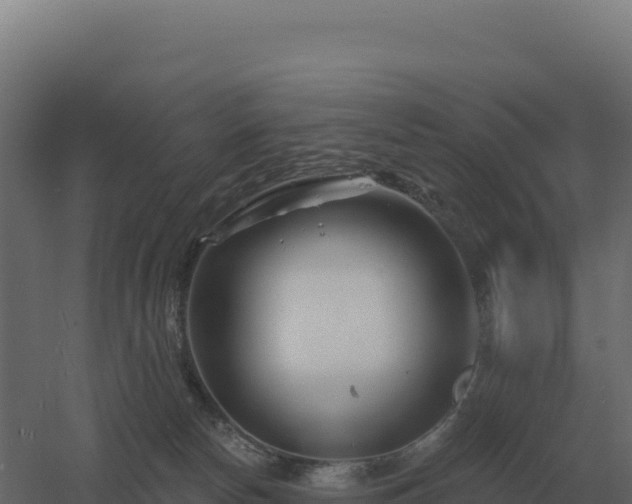 X0000061150178200511241841