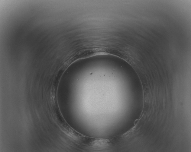 X0000061150179200511241841