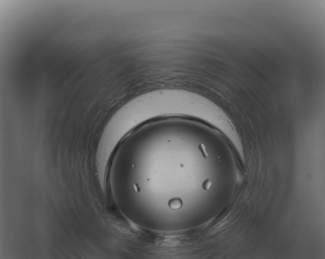 X0000061150180200511241841