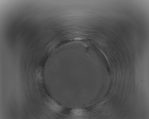 X0000061150181200511241841