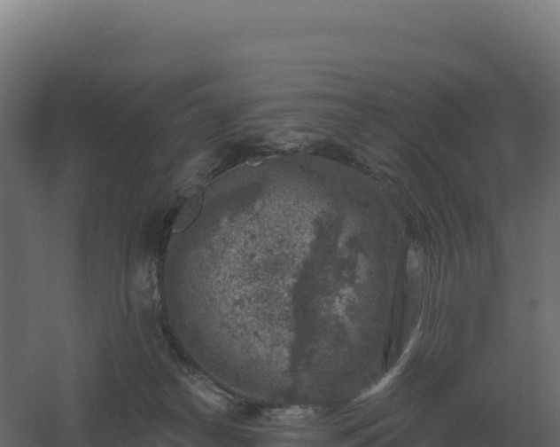 X0000061150182200511241841