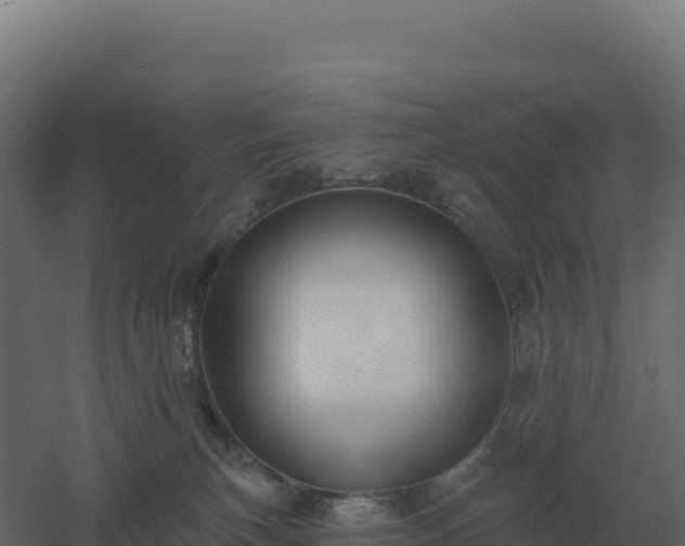 X0000061150183200511241841