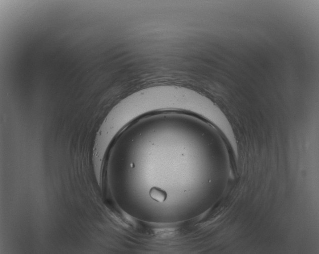 X0000061150185200511241841