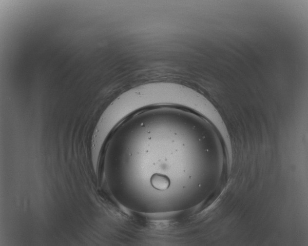 X0000061150187200511241841