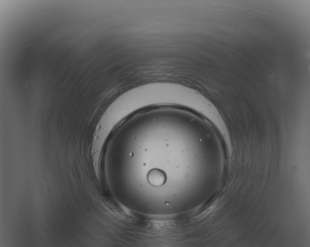 X0000061150188200511241841