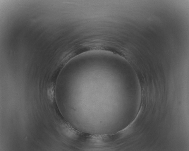 X0000061150190200511241841