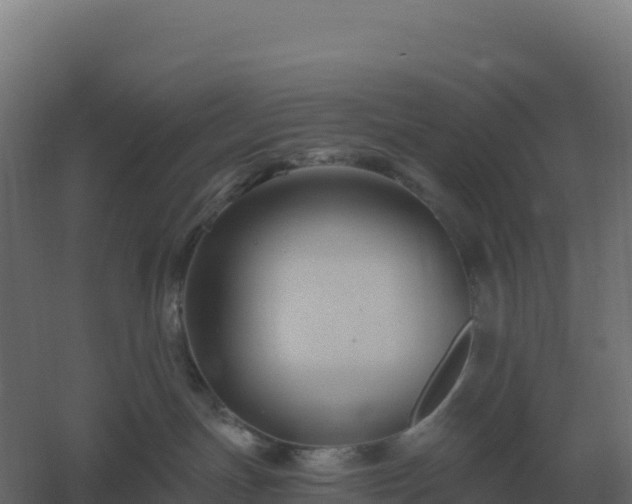 X0000061150191200511241841