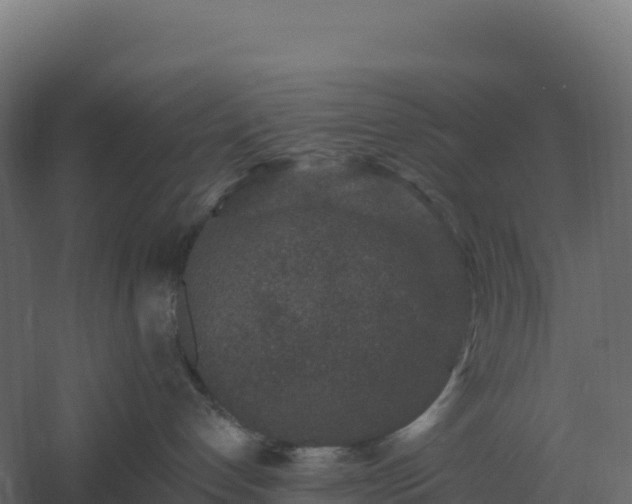 X0000061150192200511241841