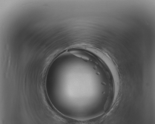 X0000061150193200511241840