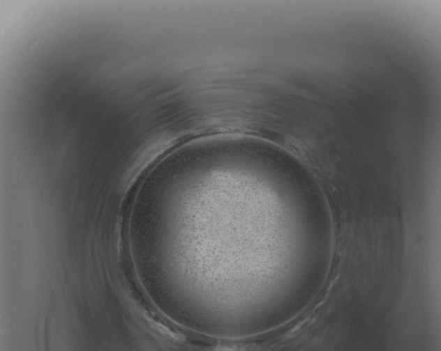 X0000061150194200511241840