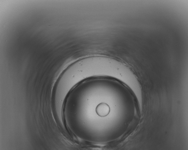 X0000061150195200511241840