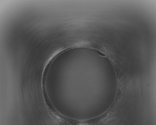 X0000061150196200511241840