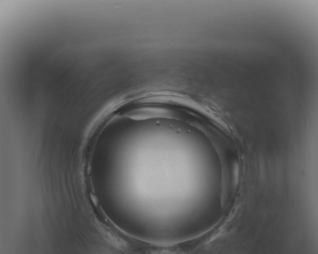 X0000061150197200511241840