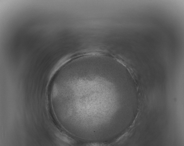 X0000061150198200511241840