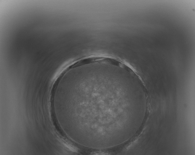 X0000061150199200511241840