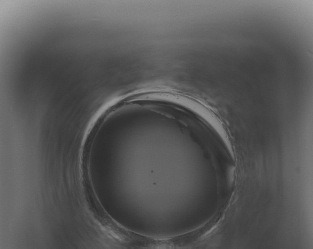 X0000061150200200511241840