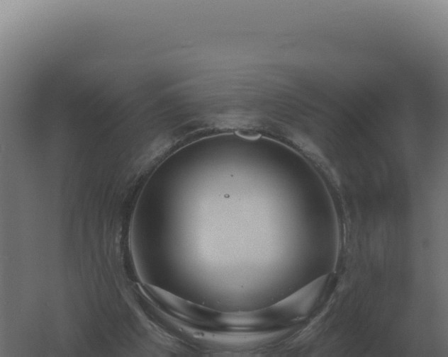 X0000061150201200511241840