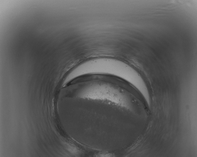 X0000061150202200511241840