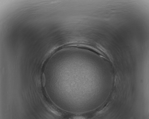 X0000061150203200511241840