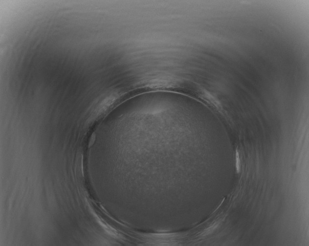 X0000061150205200511241840