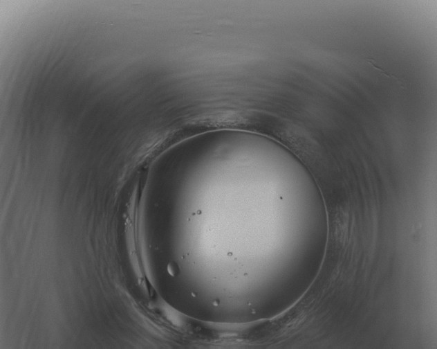 X0000061150206200511241840