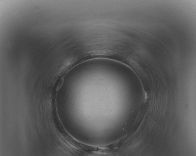 X0000061150207200511241840