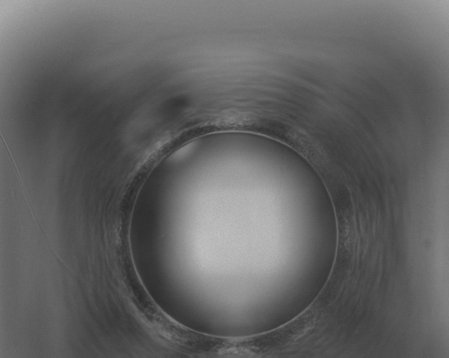 X0000061150208200511241840