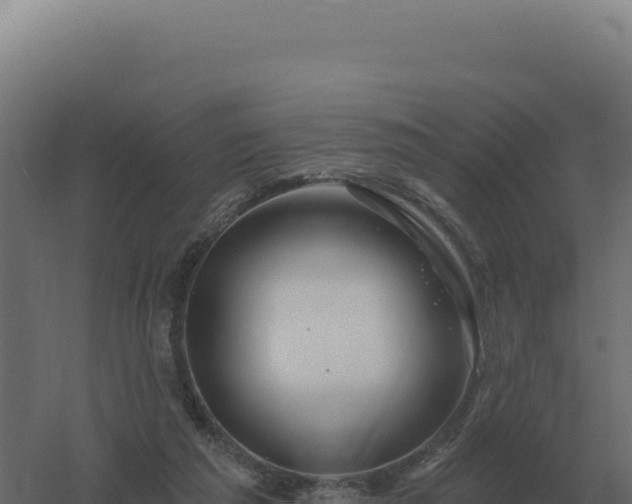 X0000061150209200511241840