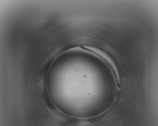 X0000061150210200511241840