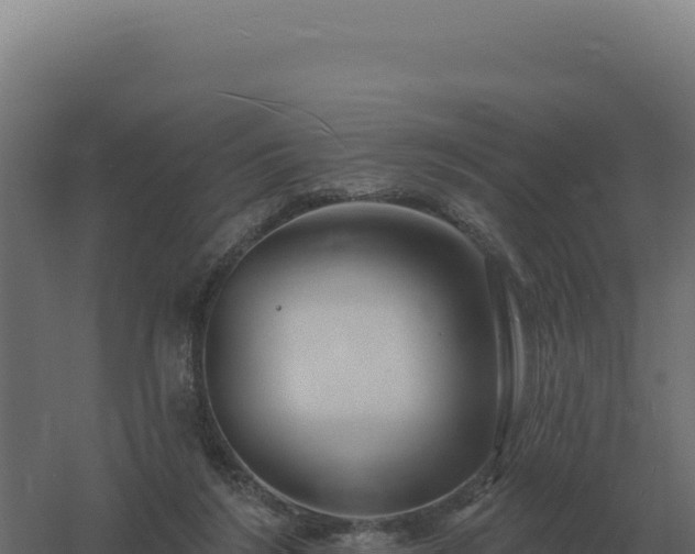 X0000061150212200511241840