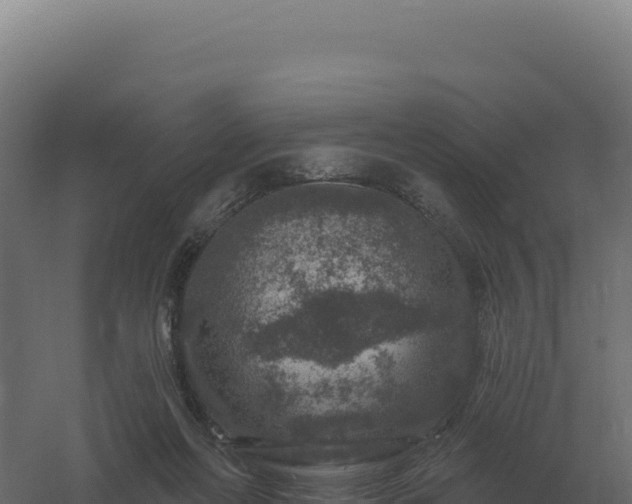 X0000061150214200511241840