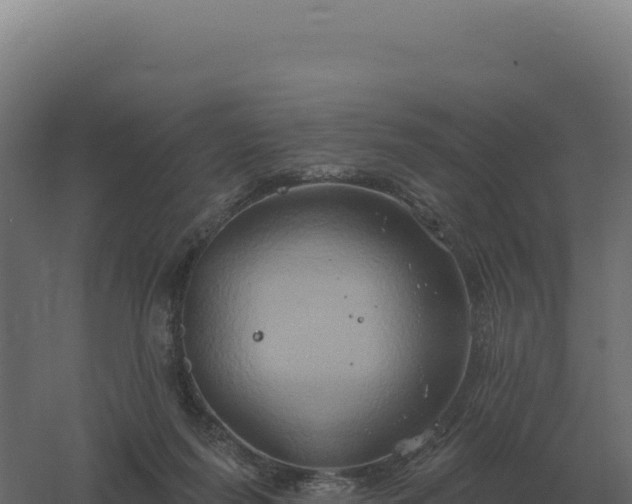 X0000061150215200511241840