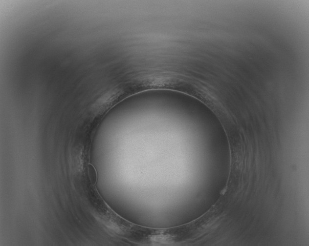 X0000061150216200511241840