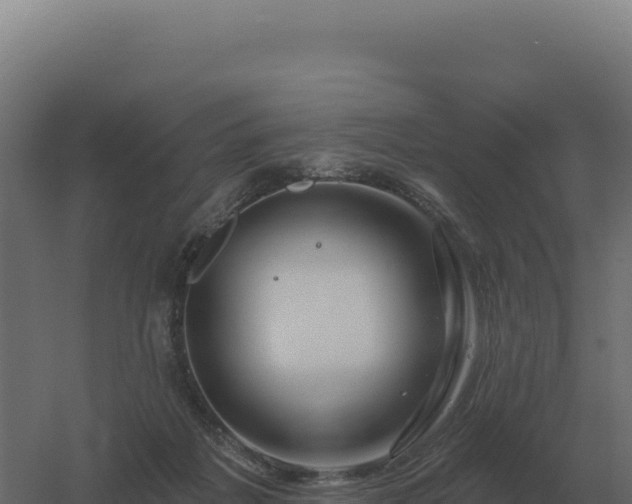 X0000061150217200511241839