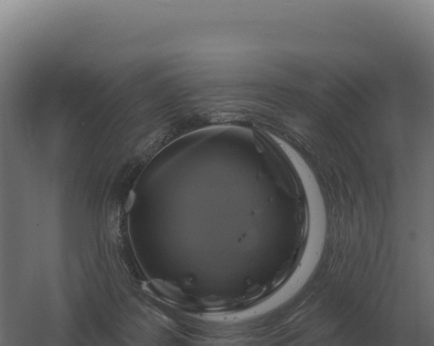 X0000061150219200511241839