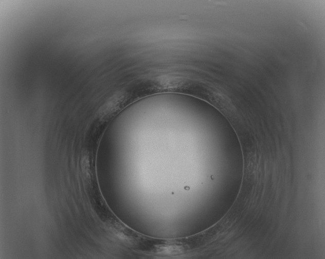 X0000061150220200511241839