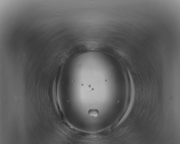 X0000061150221200511241839