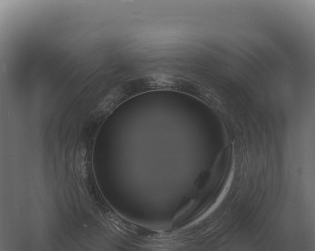 X0000061150223200511241839