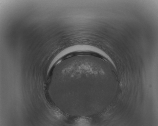 X0000061150224200511241839