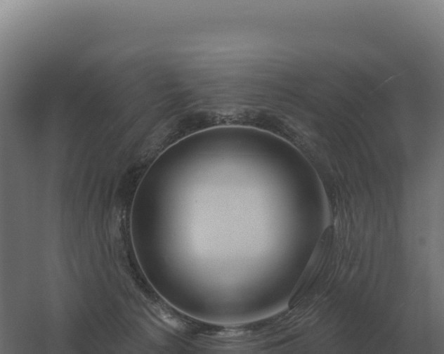 X0000061150225200511241839