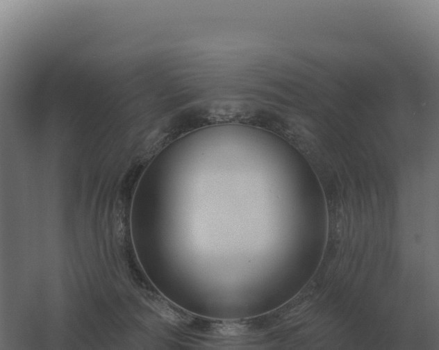 X0000061150226200511241839