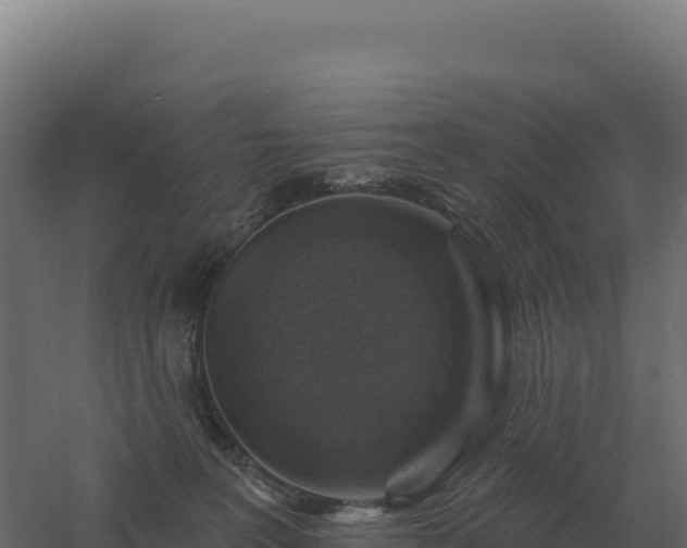 X0000061150227200511241839