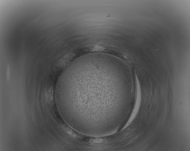 X0000061150230200511241839