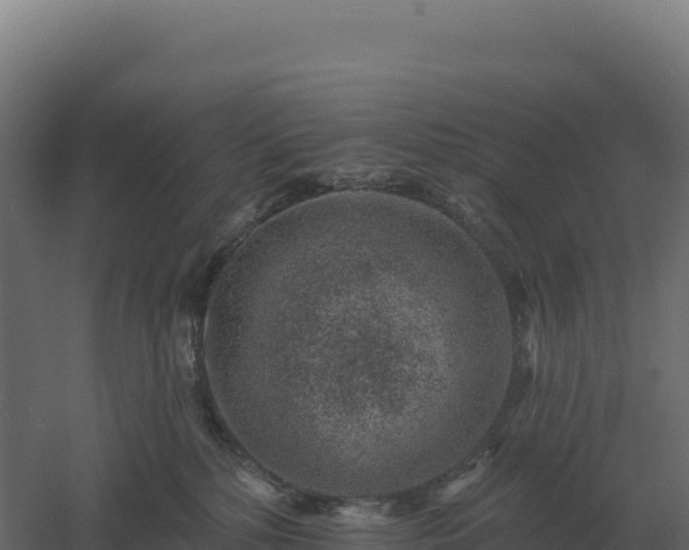 X0000061150232200511241839