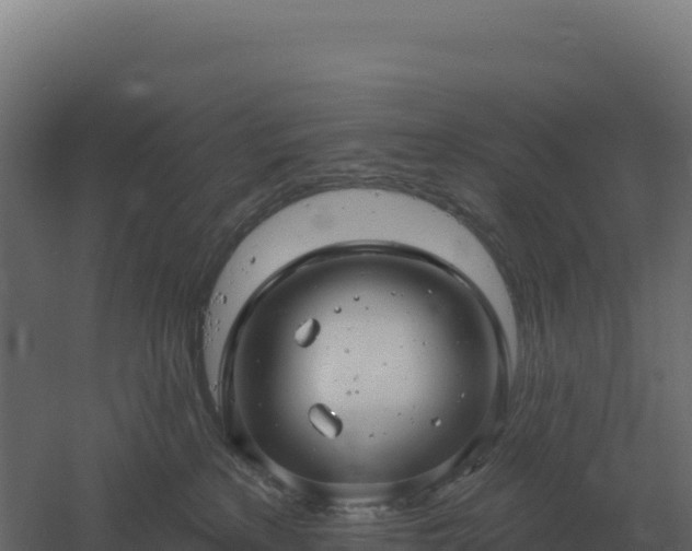 X0000061150233200511241839