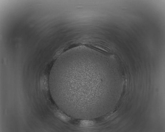 X0000061150234200511241839