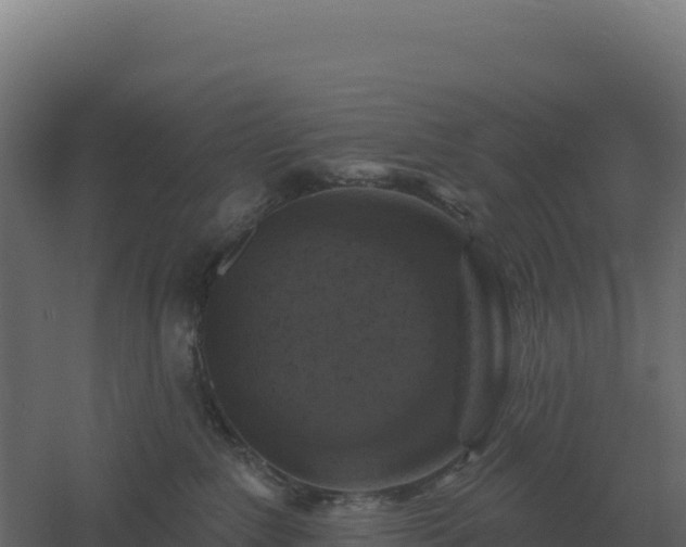 X0000061150235200511241839