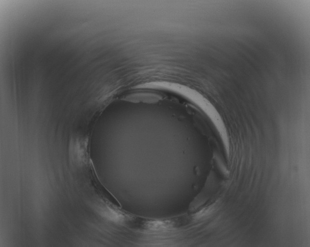 X0000061150239200511241839