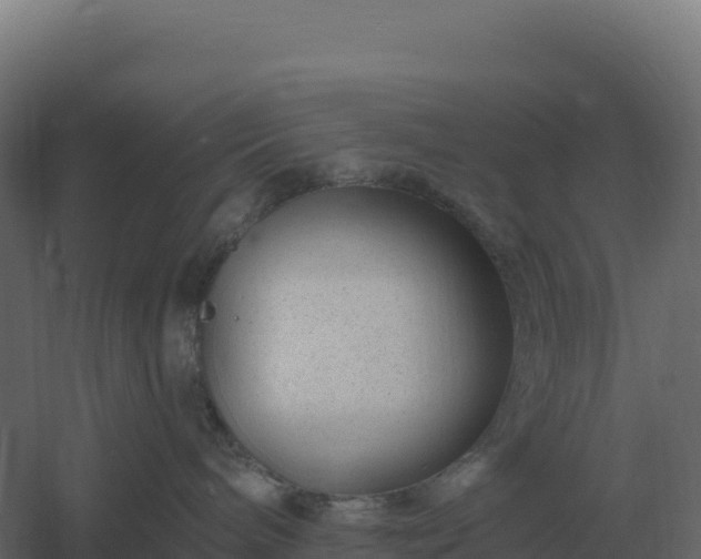 X0000061150240200511241839